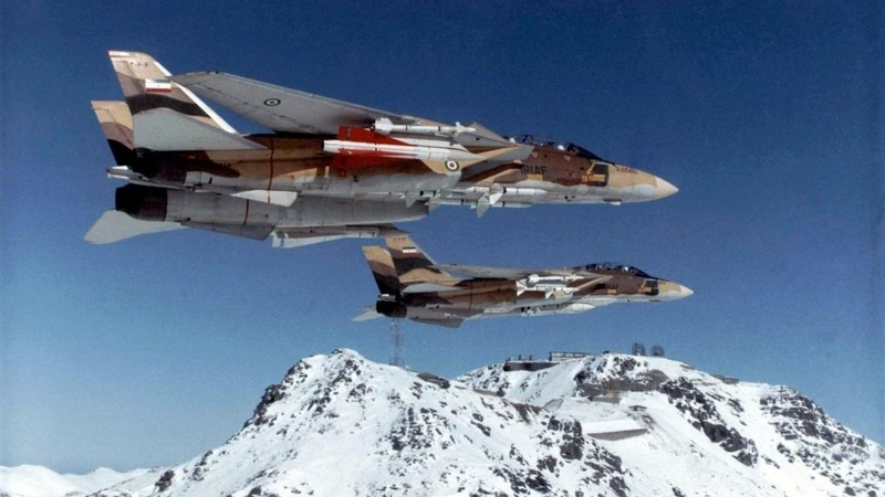 Iranian F-14s.
